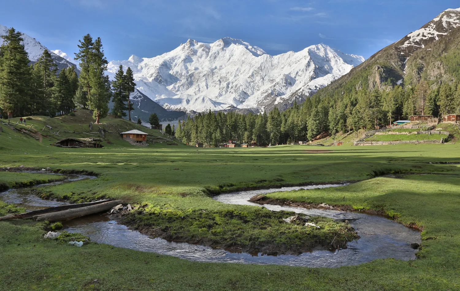 Fairy Meadows, Astore