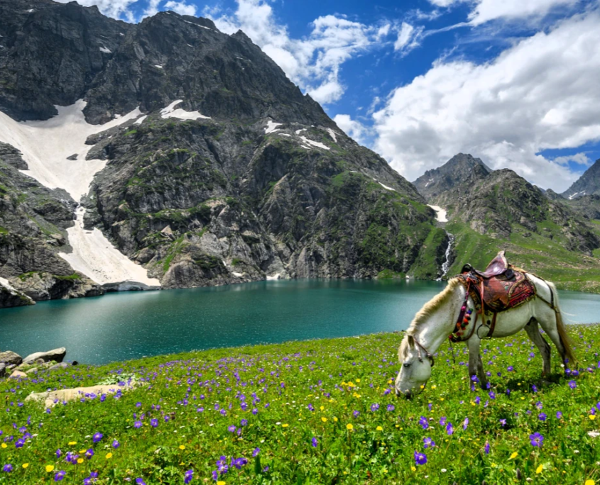 Kashmir-Gadsar Lake