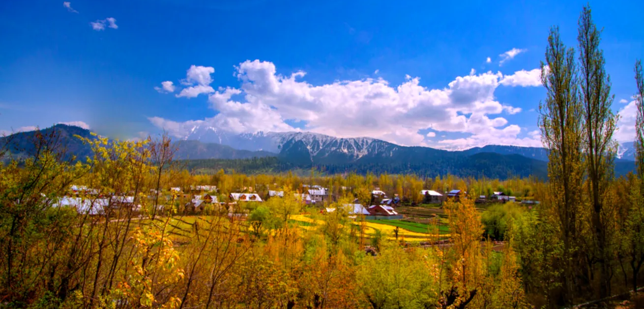 Kashmir-village, Spring-color