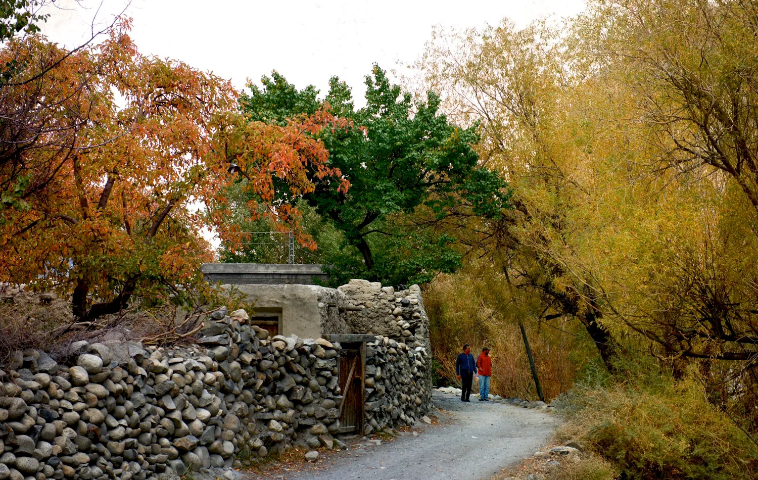 Passu Village, Gilgit