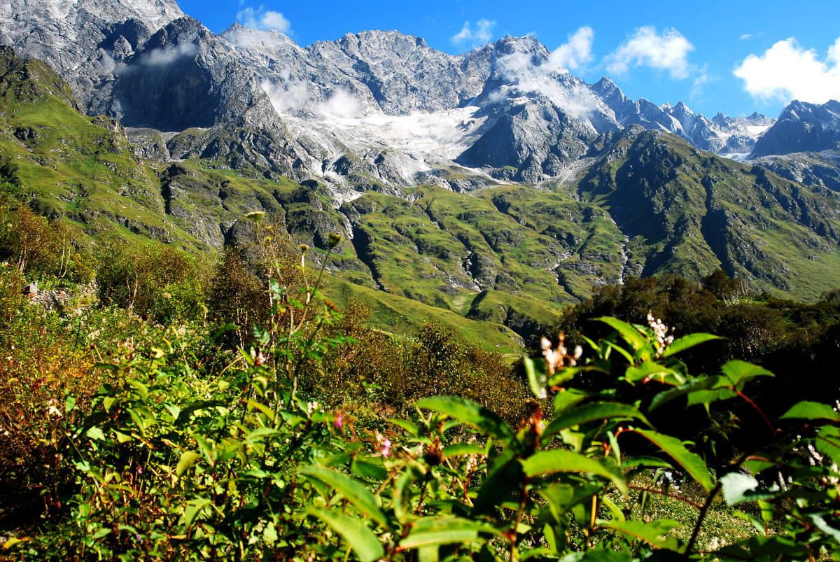 Valley of Flowers Trek