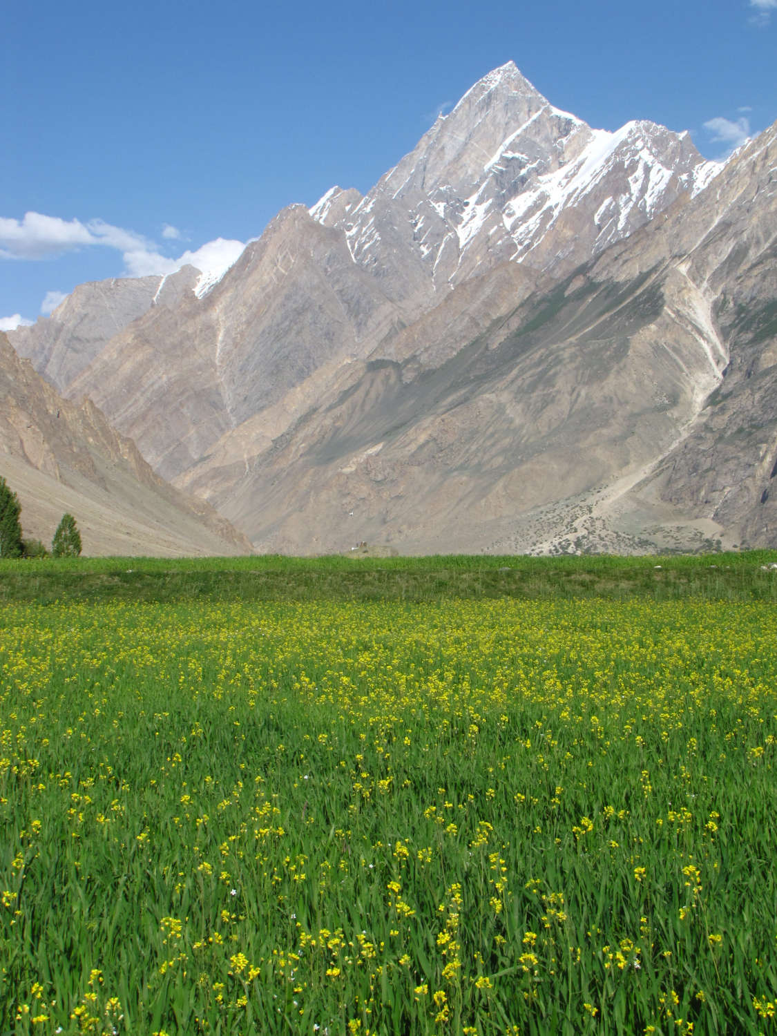 askole-fields-gondogoro-la-trek-pakistan