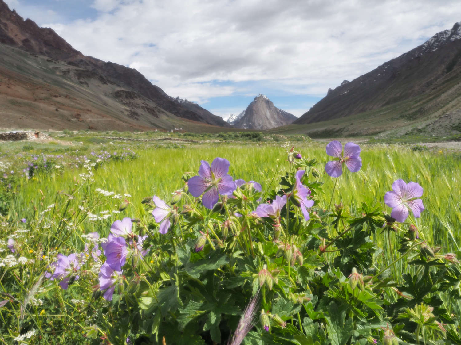 Panikhar Trek