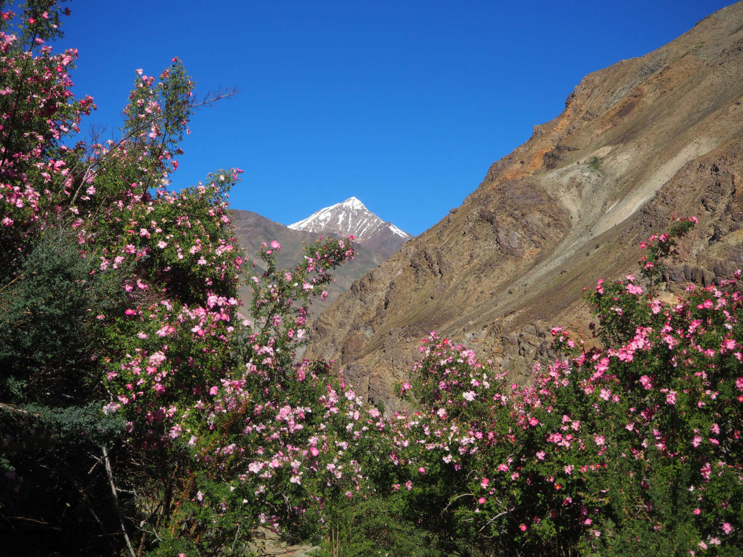 Panikhar Trek