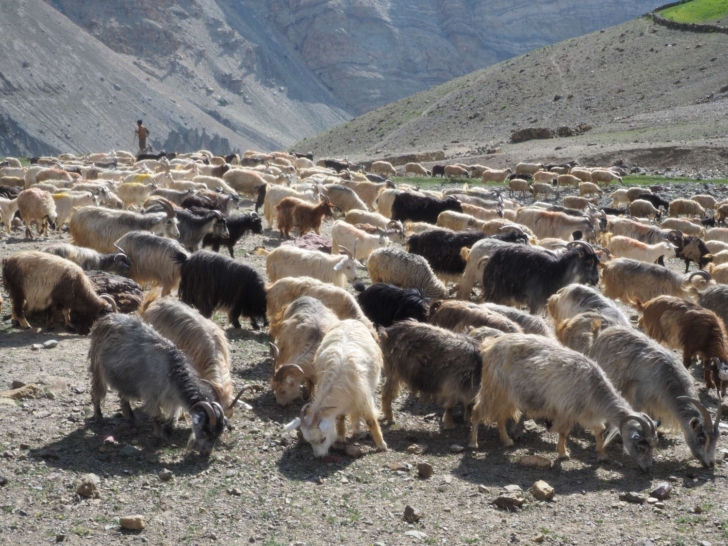 Panikhar Trek