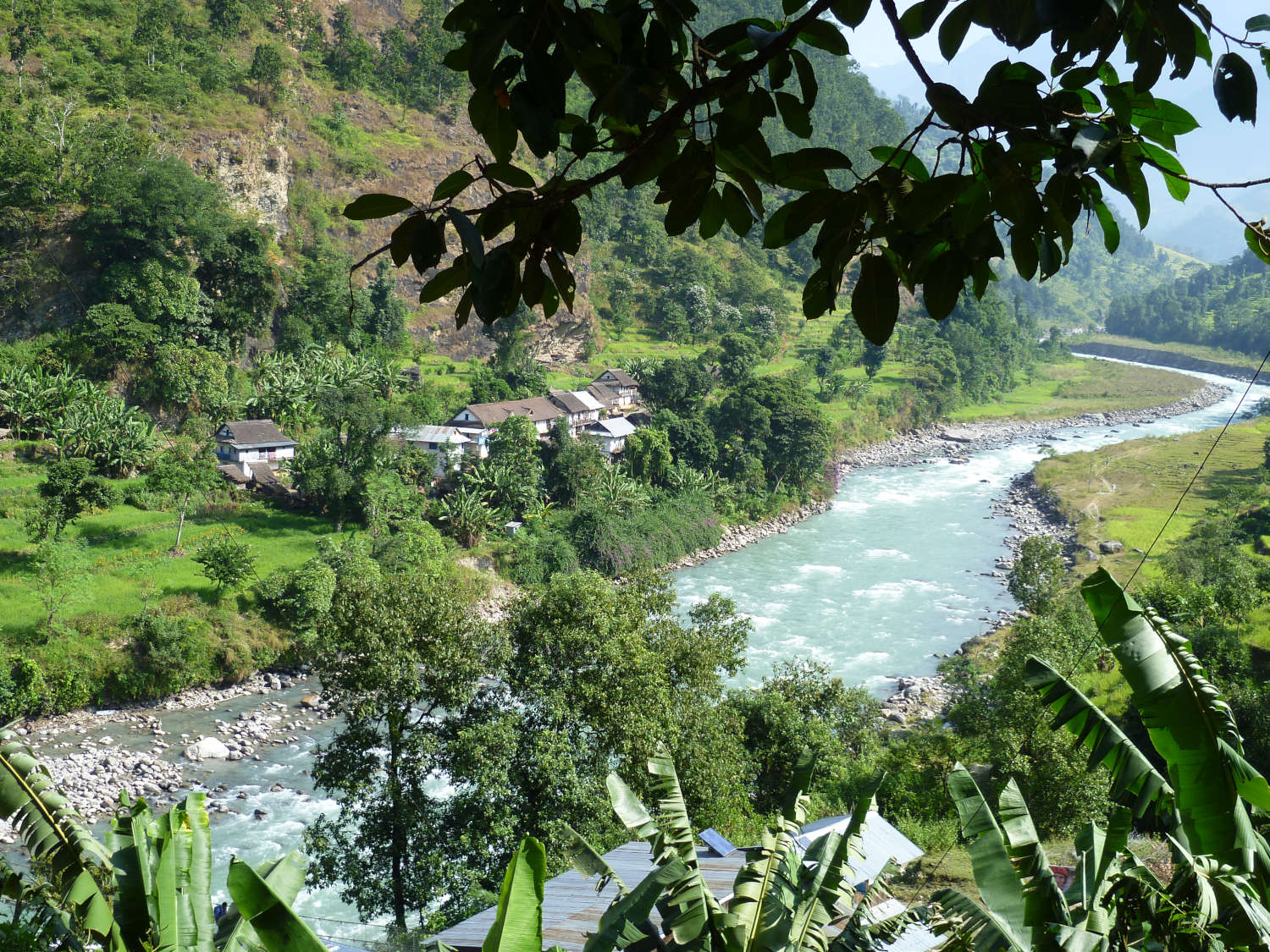 kangchenjunga-9-easy-trail-along-the-tamur