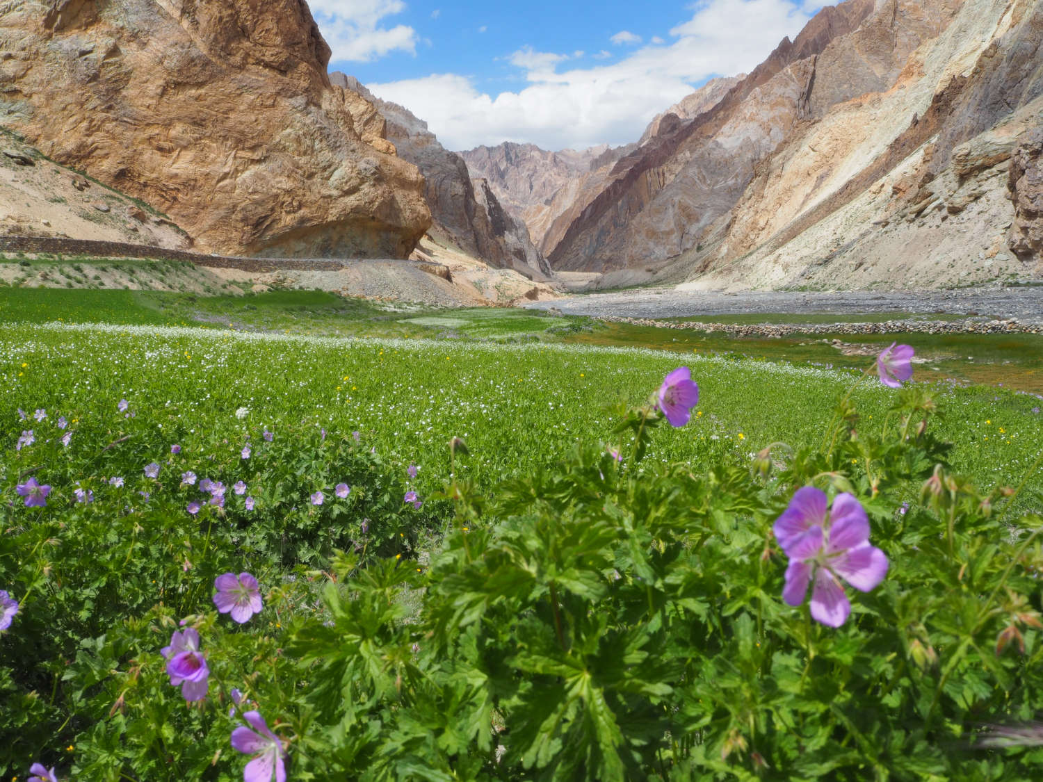 Panikhar Trek