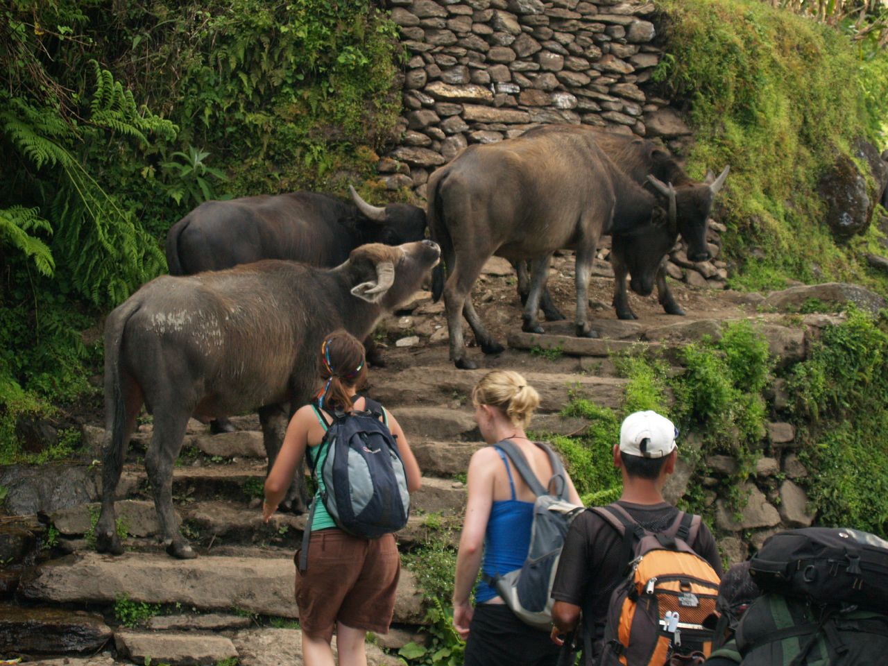 Annapurna Base camp Trek